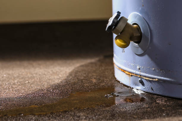 Best Sewage cleanup and water damage restoration  in Dumfries, VA
