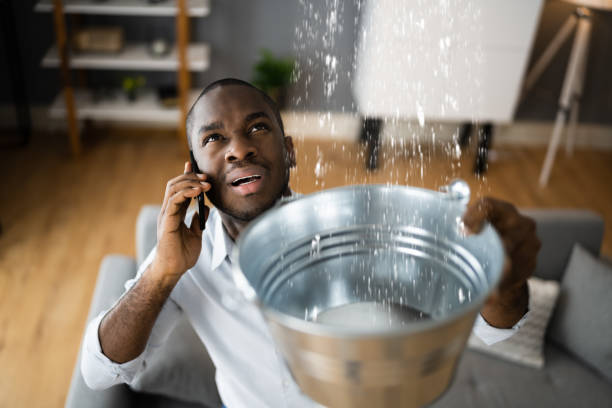 Best Local water damage restoration  in Dumfries, VA