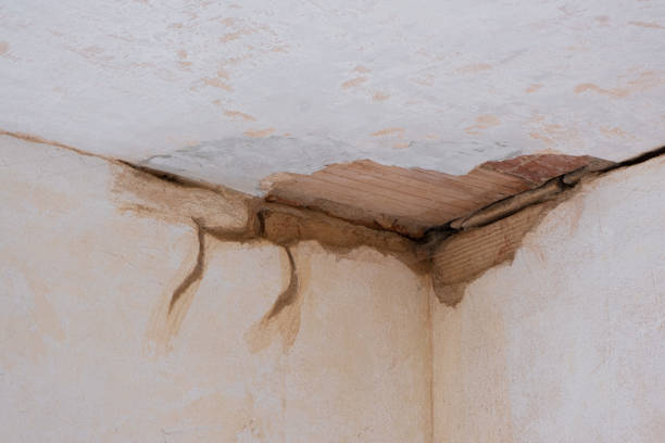 Best Water damage contractors near me  in Dumfries, VA