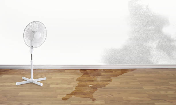 Best Ceiling water damage repair  in Dumfries, VA