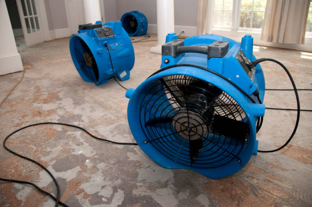 Professional Water damage restoration in VA