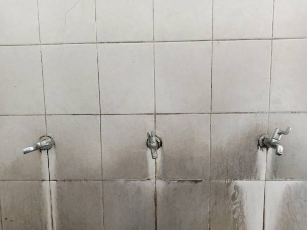 Best Residential water damage restoration  in Dumfries, VA