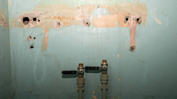 Best Professional water damage repair  in Dumfries, VA