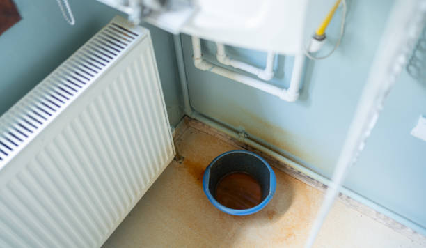 Best Carpet water damage restoration  in Dumfries, VA