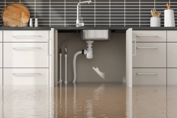Best Water damage contractors near me  in Dumfries, VA