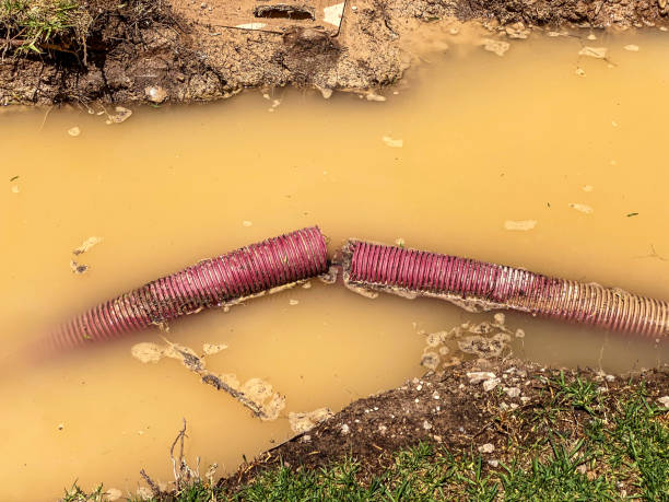 Carpet water damage restoration in VA